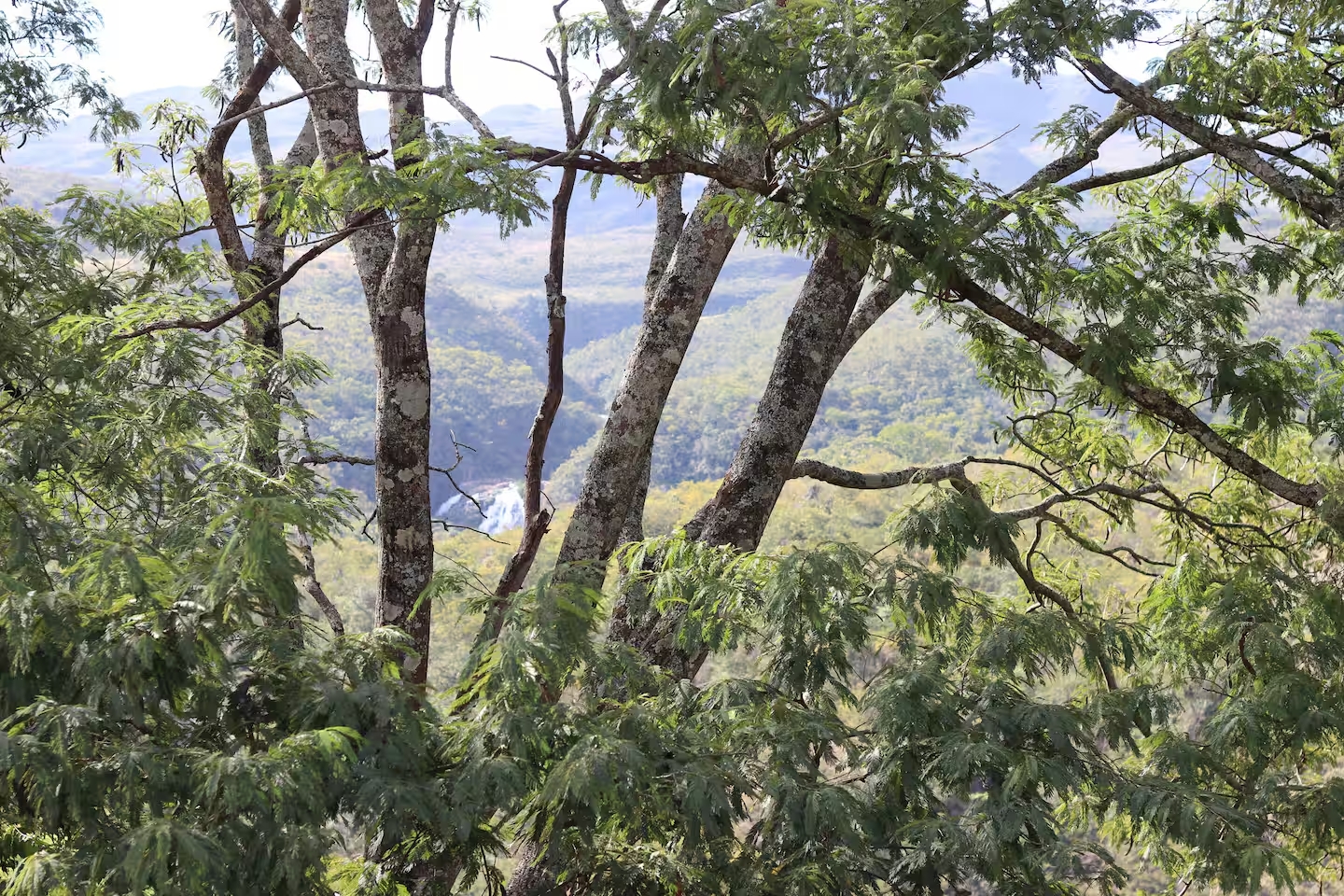 Vista da cachoeira Casca d'Anta entre as árvores